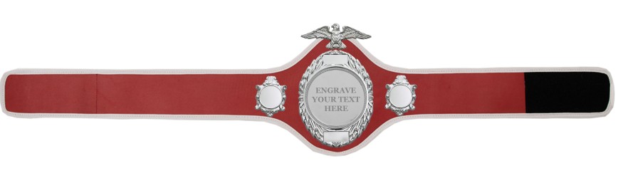 CHAMPIONSHIP BELT-PRO288/S/ENGRAVE - 10 COLOURS